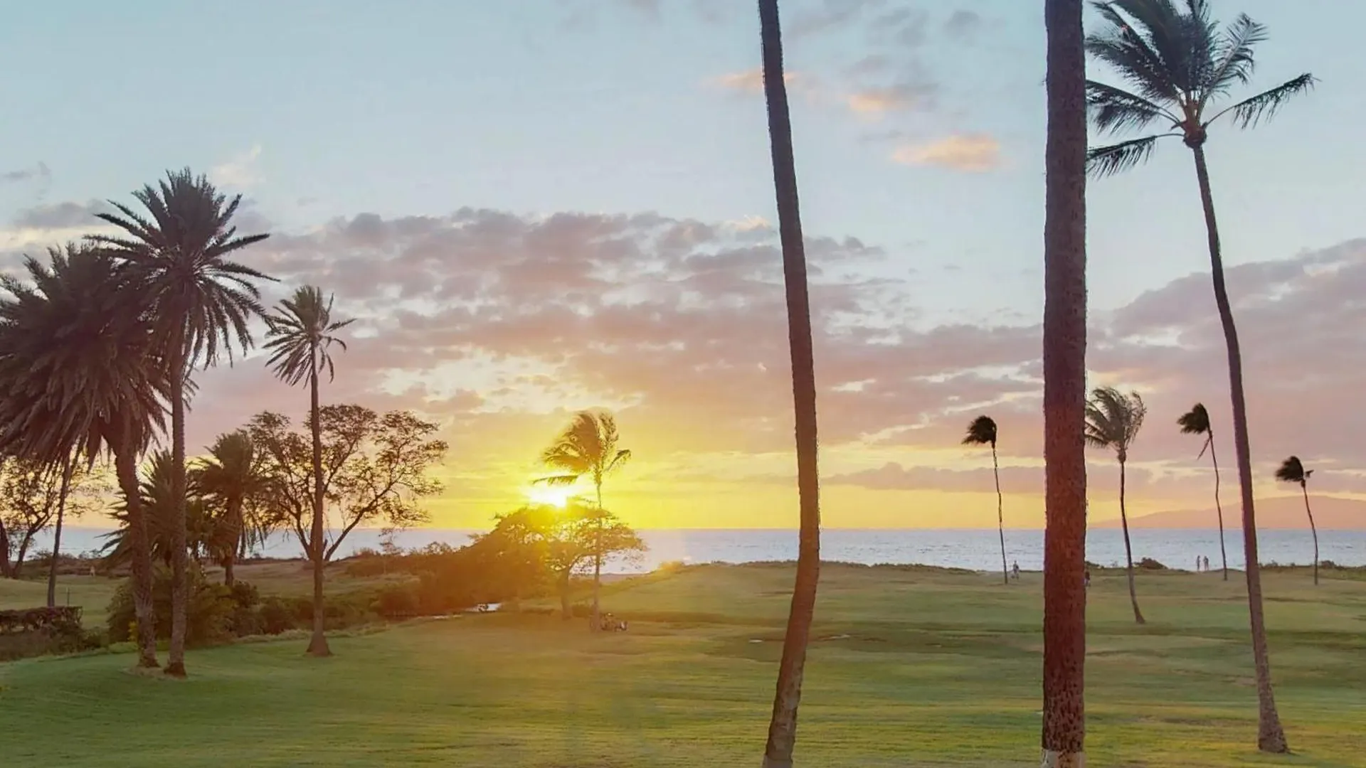 Kauhale Makai Penthouse 607 Apartment Kihei